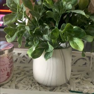 Meet your Posher, Lilac